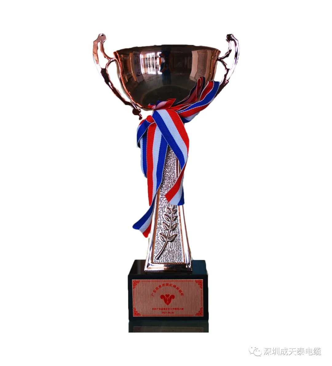 CTT CABLE won the "red cotton cup for poverty alleviation in Guangdong" copper cup